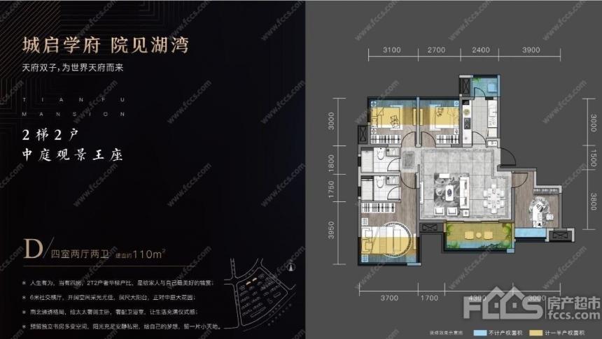 德信金成观澜大院室内图