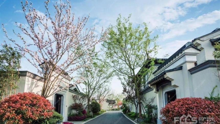 多利桃花源郫都区310万元二手房出售信息3室2厅2卫105