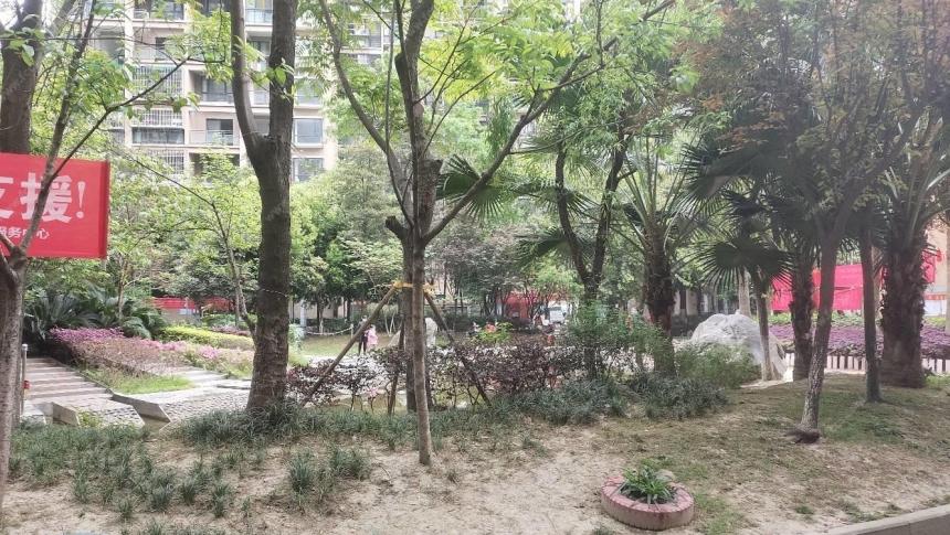 01平方米,天府香城印象(80万精装套三)单价9200,正宗 - 成都房产超市