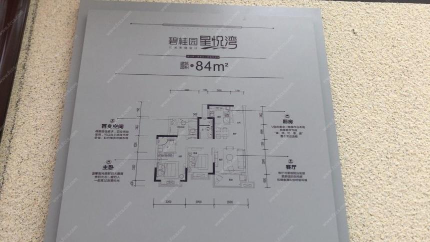 a碧桂园星悦湾找我拿团购折 南北通透精装一线江景